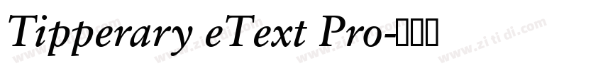 Tipperary eText Pro字体转换 Tipperary eText Pro字体转换
